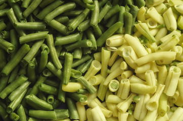 freshly cut yellow and green beans from summer garden in backet