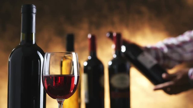 Wine tasting in the cellar