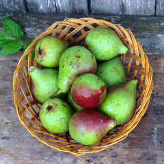 Ripe, sweet pears on a wooden background. fresh fruits