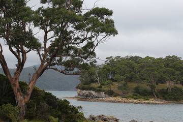 Fototapeta na wymiar Isle of the Dead- Port Arthur-Tasmanien