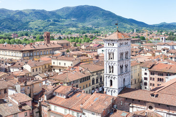 Fototapeta na wymiar Lucca, Duomo di San Martino dall'alto
