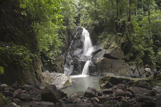 Jungle Waterfall