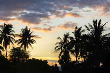 Fototapeta na wymiar Silhouetted Image Of Coconut Tree During Sunset, Beautiful Color Of The Sky And Dramatic Clouds.