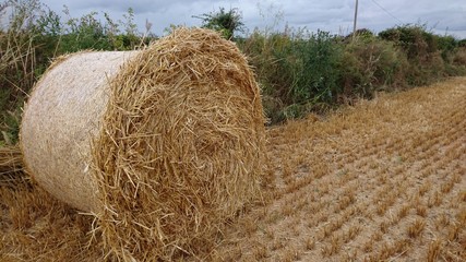 Hay bale up close