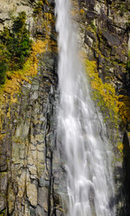 Fototapeta na wymiar Great Falls of Nachi in Japan