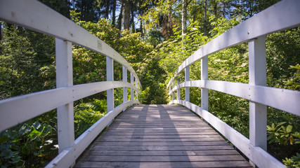 Fototapeta premium Holz Brücke