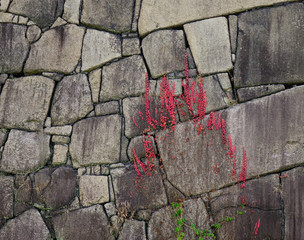 Ancient stone wall of Japanese castle