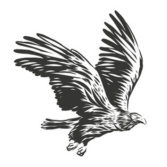 American eagle illustration