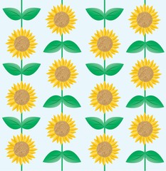 sunflower background