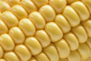 Ear of corn