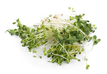 kaiware sprout, japanese vegetable or watercress on white background