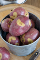 Apache Potatoes an unusual variety with red skins and creamy white patches good for roasting or boiling