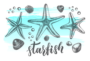 Background with sea starfishs. Marine Ink hand drawn elements for design. Template for cards, banners, posters with modern brush calligraphy style lettering. Vector illustration. - 165169956