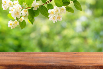 An empty wooden table and a branch of blossoming jasmine above it.