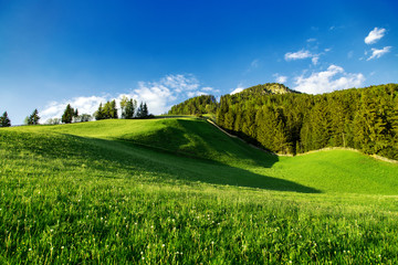 Beautiful green mountains nature landscape at summer