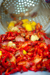 Crawfish