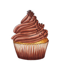 Chocolate cupcake isolated on white background.