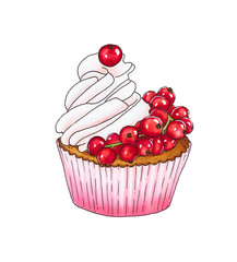 Cupcake with fresh red currant
