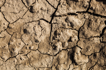 Dry cracked ground