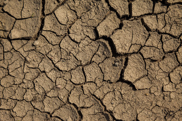 Dry cracked ground
