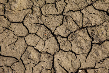 Dry cracked ground