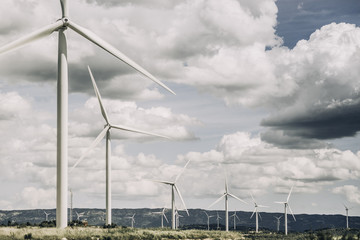 Landscape of an wind farm.