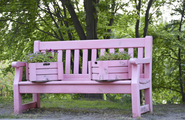 Beautiful pink bench
