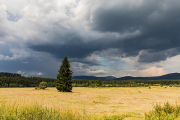 Fototapeta na wymiar Summer landscape before storm, Sumava, Czech Republic