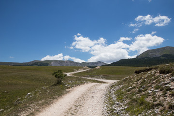A mountain trail with gravel and white pebbles. Hiking trail
