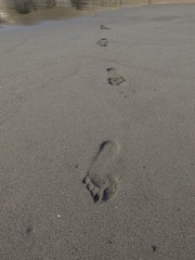 砂浜の足跡