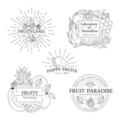 Set of fruits badges, logos and design elements.