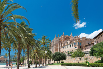 Fototapeta na wymiar Palma de Mallorca - Kathedrale La Seu - 5852