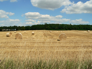 Harvested field with bales in summer in Germany