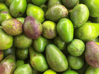 fresh green and brown avocados at the market, close up