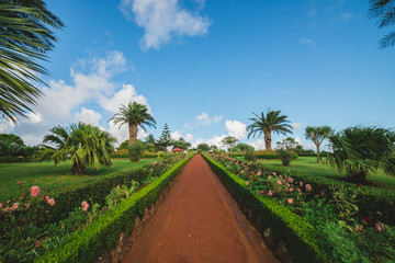 path in a paradise garden 