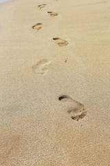 Fototapeta na wymiar Footprint on the beach 2