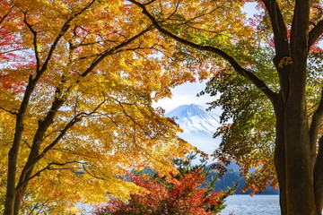 富士山と紅葉、山梨県河口湖にて