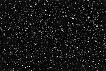 Drops of water on a black background
