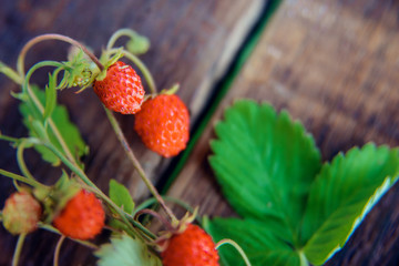 Fresh wild strawberry with leaves and flowers on a simple dark wooden structural background top view. The concept of natural organic healthy food