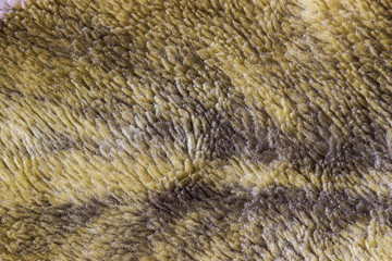 Woven wool green fabric texture
