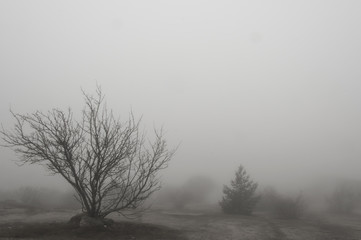 Ambiente de nevoeiro