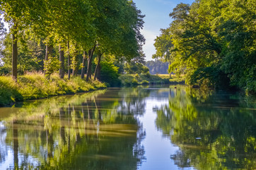 Beautiful Canal du Midi, sycamore trees reflection in water, Southern France
