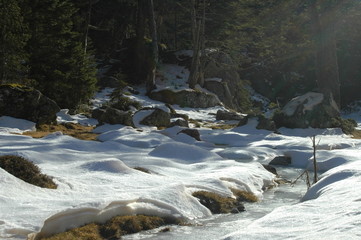 Neige, ruisseau