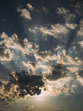Rays of sunshine