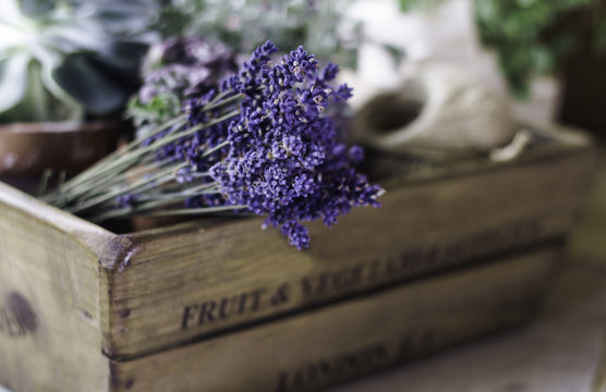 Dried lavender in a reclaimed wooden box
