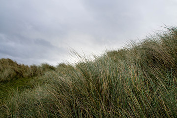 Dunes