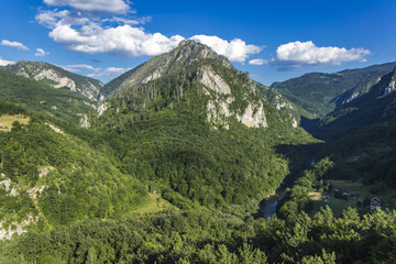 Fototapeta na wymiar Tara canyon in Montenegro