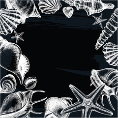 Background with different types mollusk sea shells, starfishs and pebbles. Marine Ink hand drawn elements for design. Template for cards, banners, posters. Vector illustration.