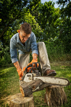 Man sawing log