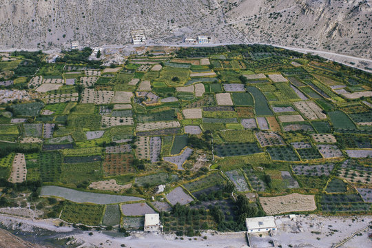 Agricultural fields in upper mustang valley in Nepal.